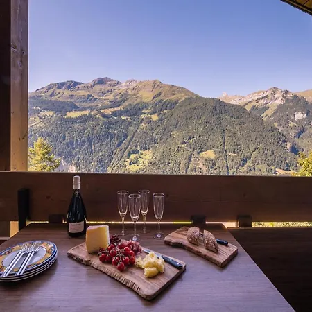 Primula Penthouse Appartamento *