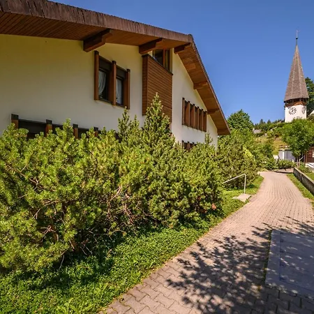 Primula Penthouse Appartamento *