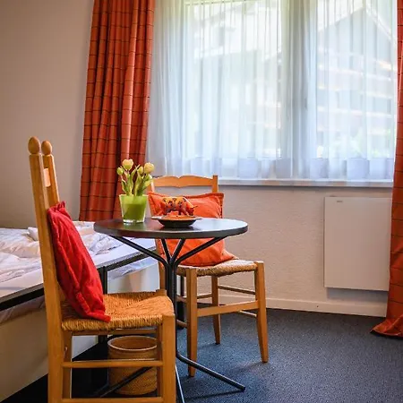 Primula Penthouse