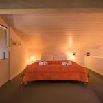 Primula Penthouse *