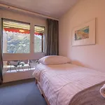Primula Penthouse * Wengen