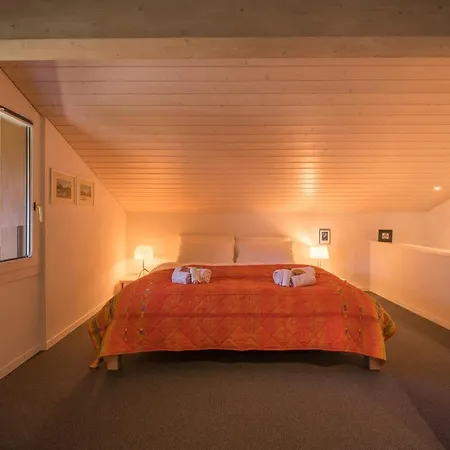 Primula Penthouse *